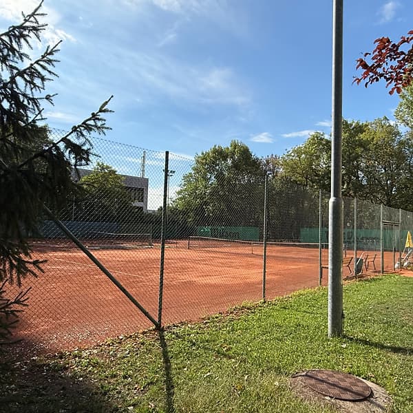 Antukový dvorec klubu TennisOne za smrekom